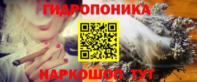 гашик Бердск