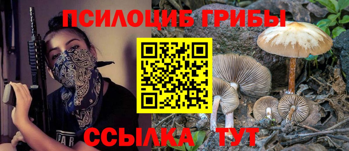 Псилоцибиновые грибы Psilocybe  наркота  Псилоцибиновые грибы Psilocybe  Новый Уренгой  Вход с VPN 